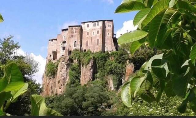 Agriturismo Villa Amerina Corchiano Dış mekan fotoğraf