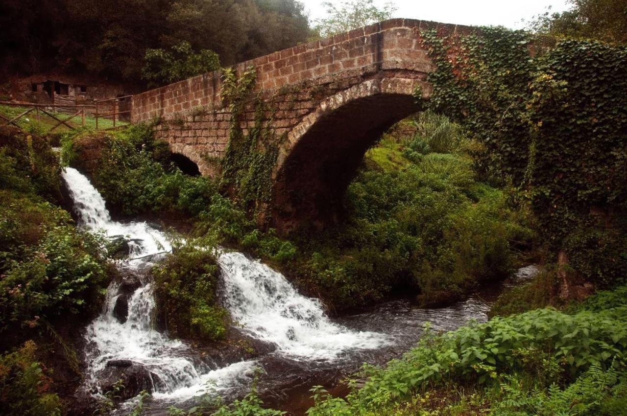 Agriturismo Villa Amerina Corchiano Dış mekan fotoğraf