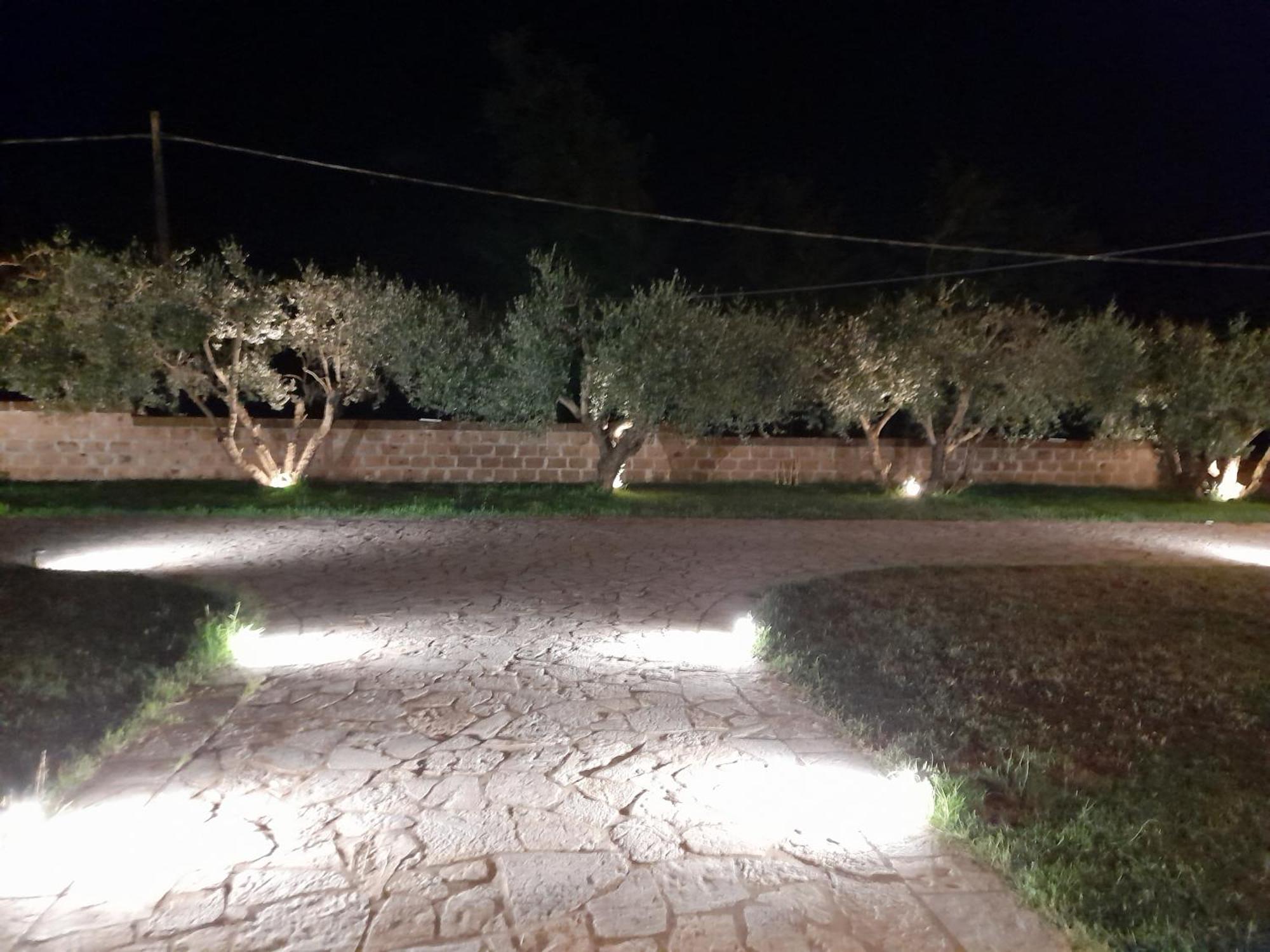 Agriturismo Villa Amerina Corchiano Dış mekan fotoğraf